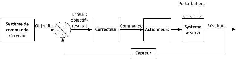 Schéma de l'approche systémique tiré de l'automatisme