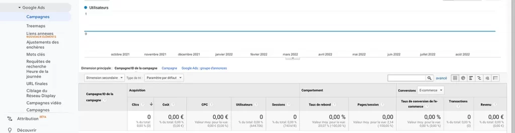 Source de trafic Google Analytics "Paid Search"