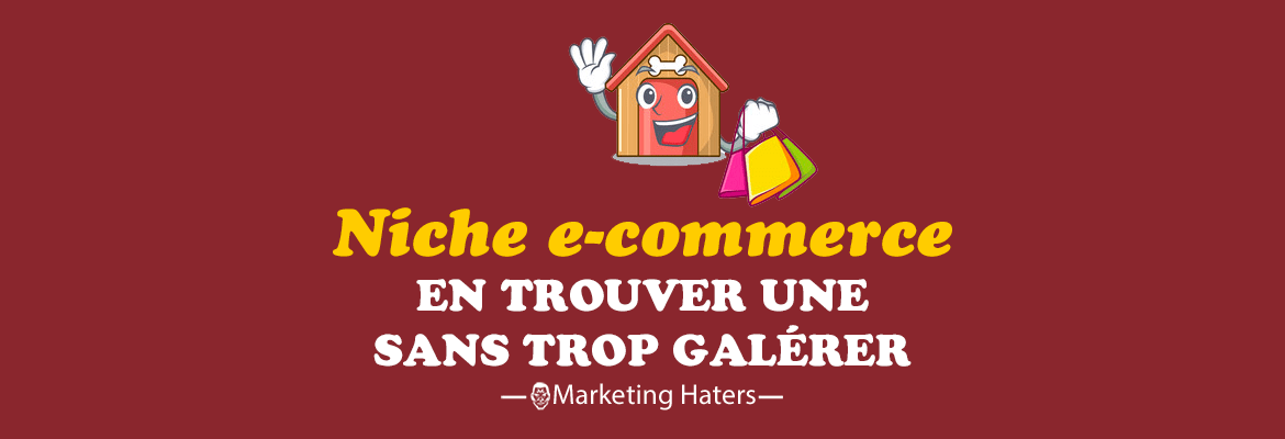 trouver une niche e-commerce
