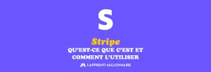 stripe c'est quoi