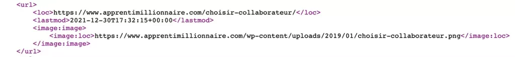 Les images ajoutées dans le sitemap du site grâce au plugin Yoast SEO